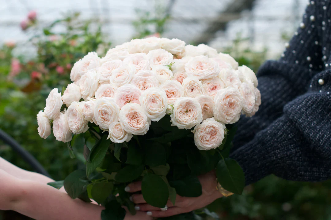 Welcome to Our Store